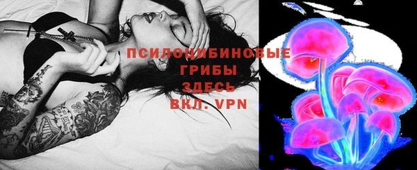 ALPHA PVP Семёнов