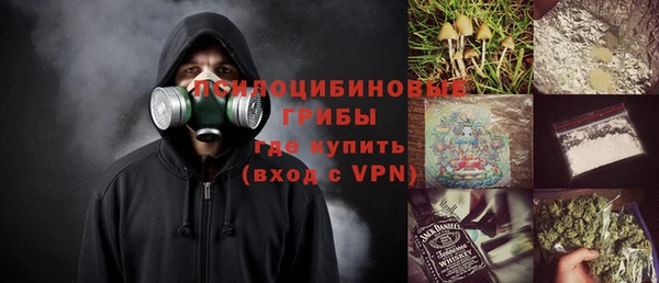 стаф Волосово