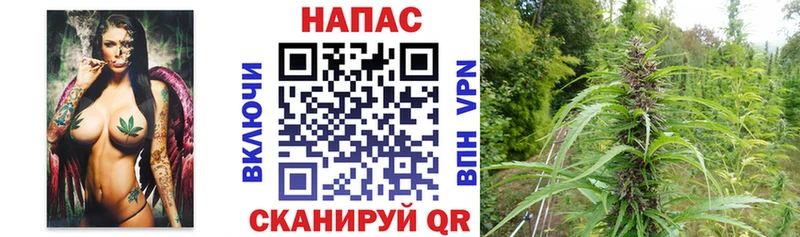Шишки марихуана OG Kush  ссылка на мегу как зайти  Зубцов  закладки 